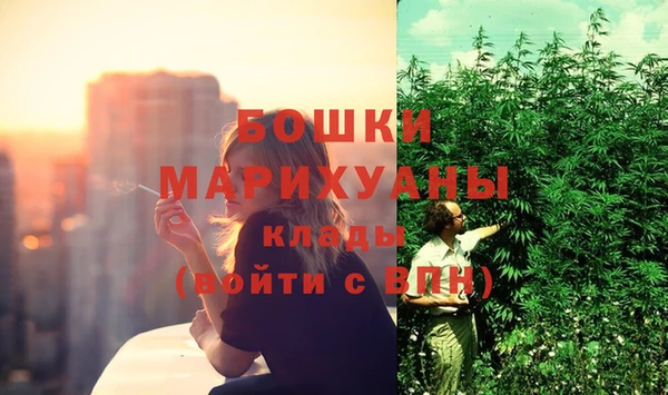 дурь Горнозаводск