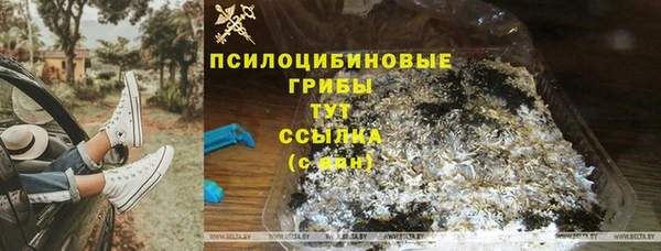 молекула духа Вязьма