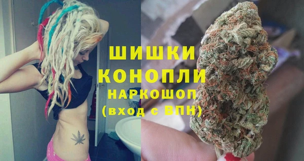 хмурый Горняк