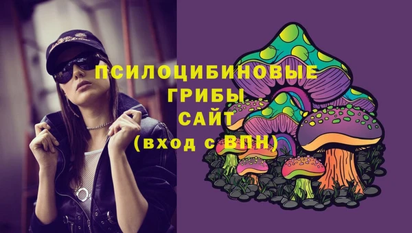 скорость Вяземский