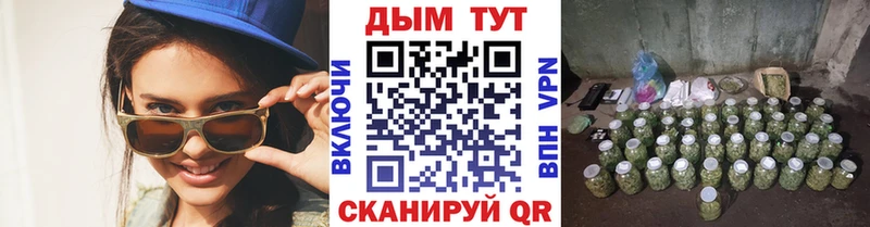 Бошки Шишки MAZAR  закладки  Щёлково 